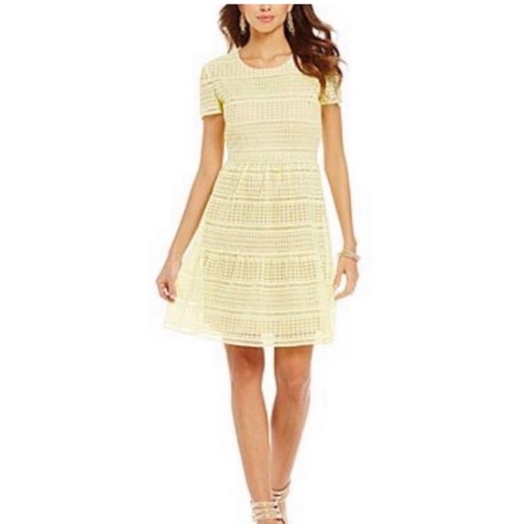 Gianni Bini Lara lace striped dress short sleeve size L - Picture 1 of 11